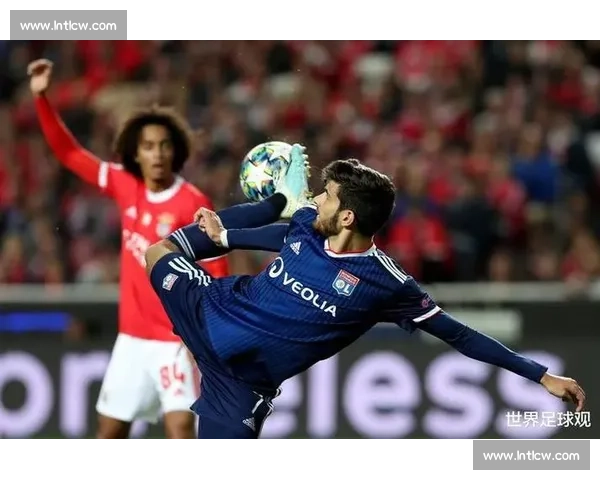 本菲卡球迷赴美观赛遭拒签 损失近 8000 元梦碎世俱杯