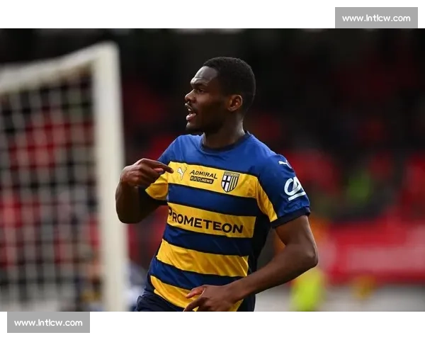 斯基拉：米兰外租卡马尔达、泽罗利双星至意乙练级